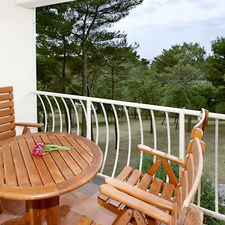 호텔 Bellevue Plava Laguna 4*